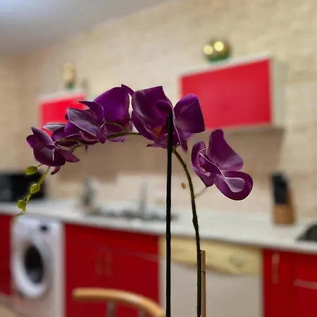 Noreea Apartmán Temešvár