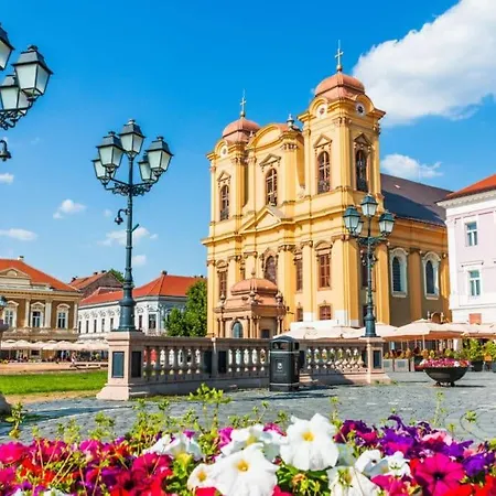 Noreea * Timisoara