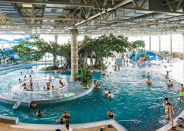 Noreea 아파트 티미쇼아라