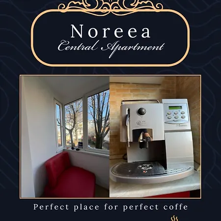 Noreea * Τιμισοάρα