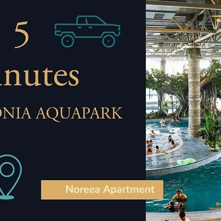 Apartment Noreea Timisoara