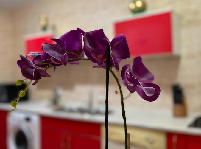 Noreea Apartment Timisoara